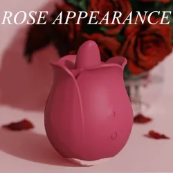Generique Accessoire Anulingus Rose Pro 4 - 9 Vibrations
